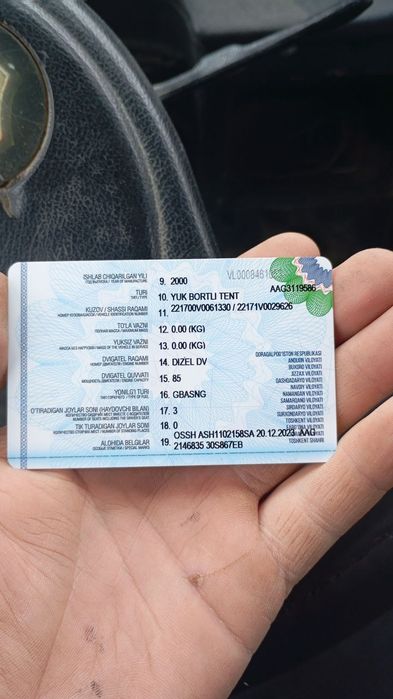 Gazel yili 2000 xolati yaxshi