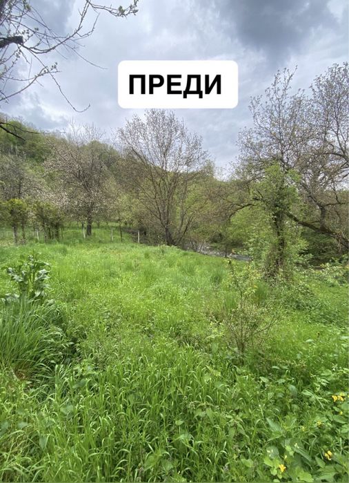 Косене и поддръжка на имоти
