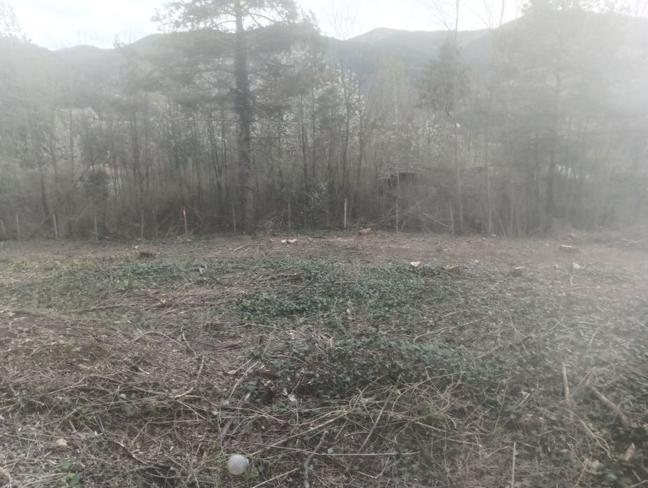 Почистване на парцели имоти дворове