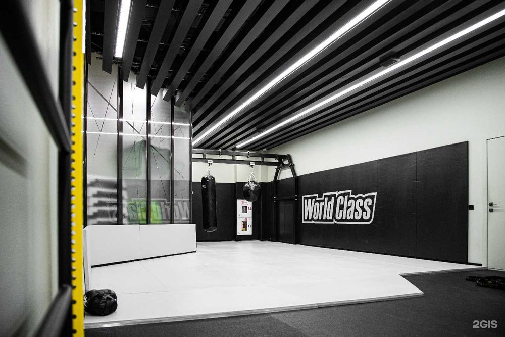 Годовой абонемент World Class