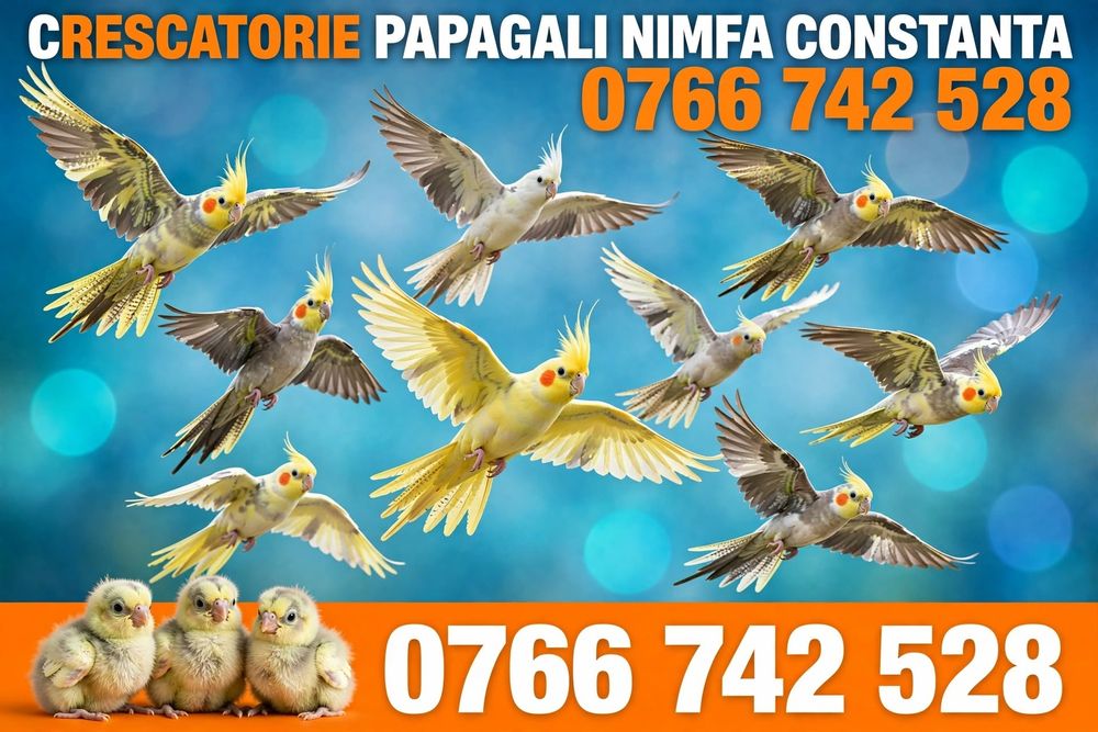 Vand Papagali Nimfa