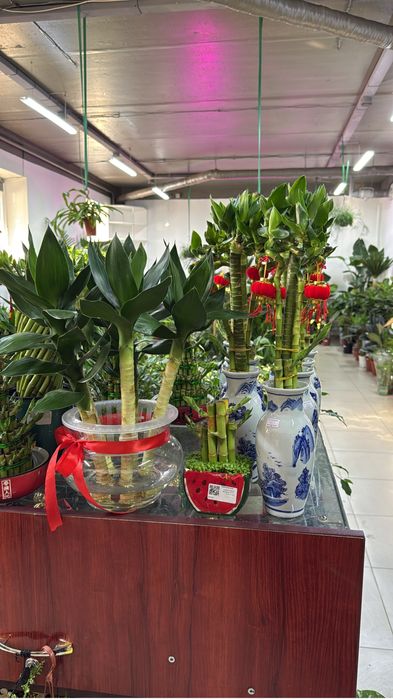 Продам готовый бизнес