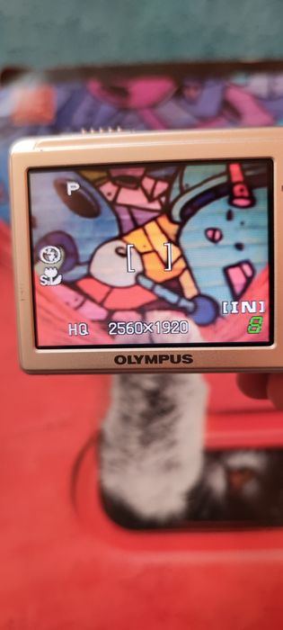 Aparat foto-video Olympus