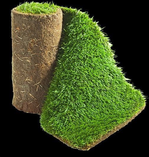 Продаю Натуральный газон премиум класса