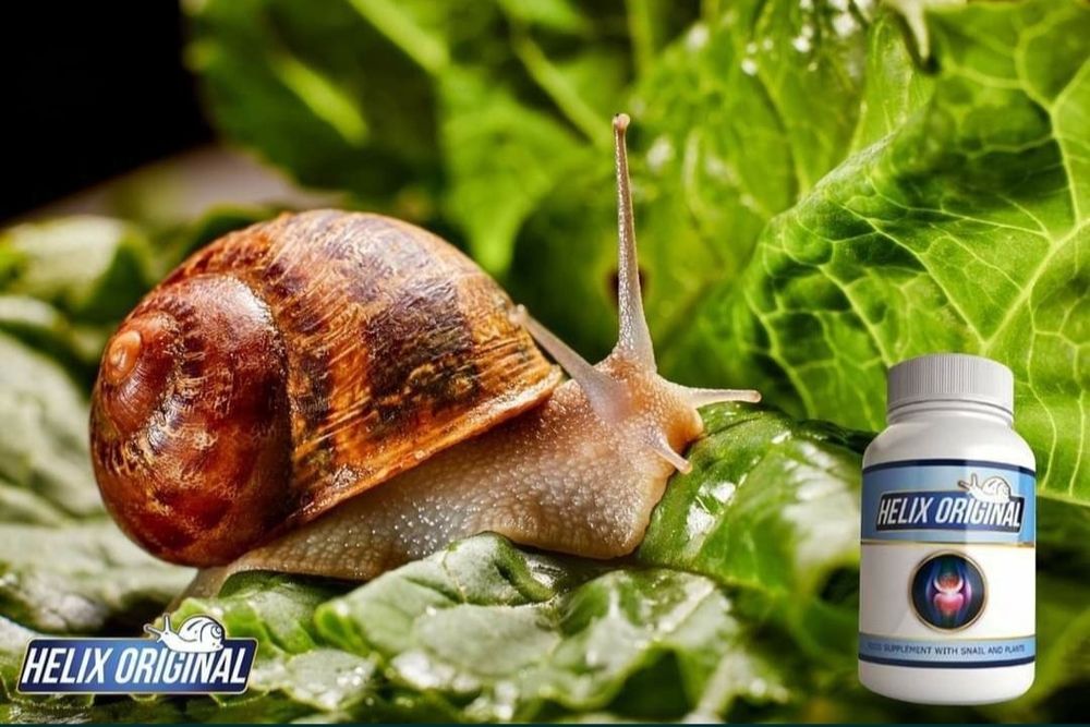 Helix Original Samarqand dostavka bepul