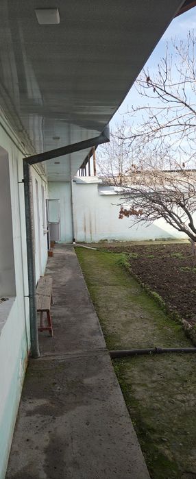 Majnuntol mahalla 6 sotix uy tupik