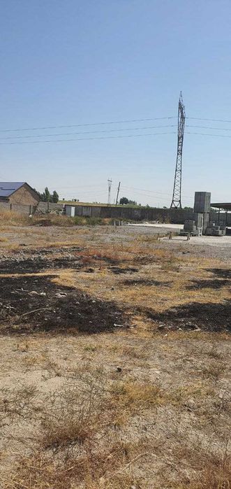 Уртасарай  3 га под завод YR(155)