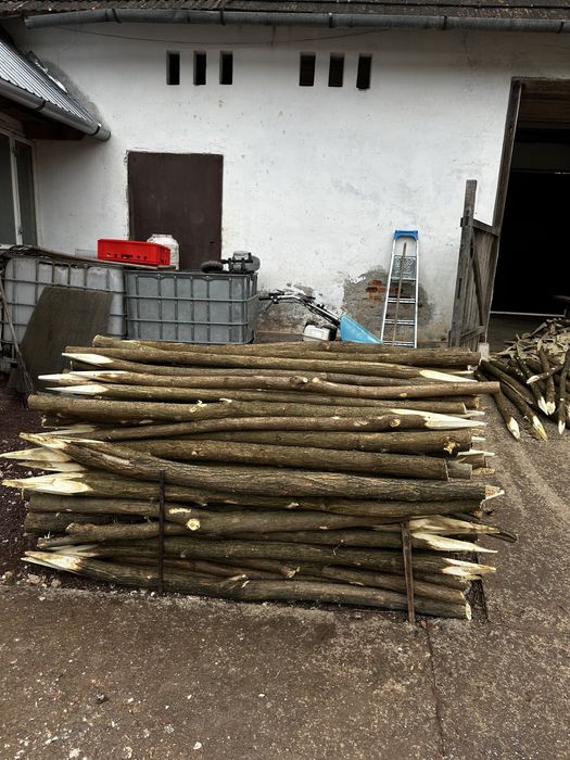 Vănd stalpi de Salcâm