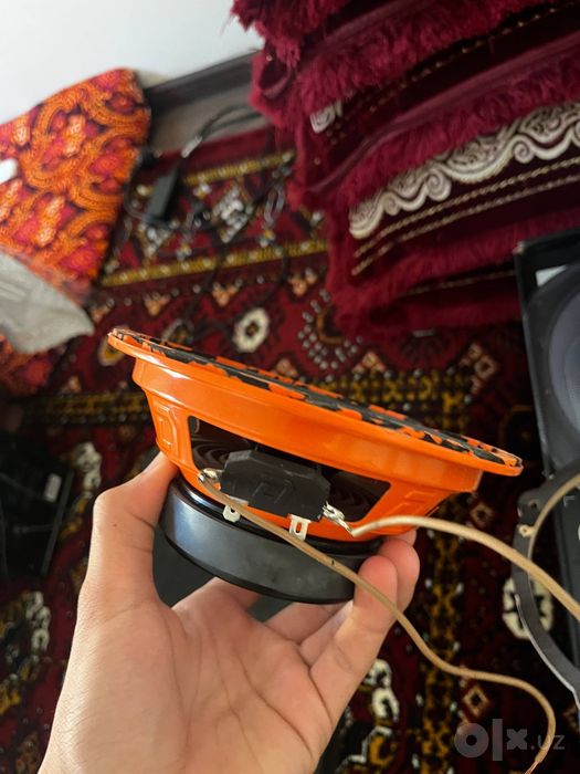 DL audio baracuda