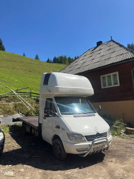 Vind bulbar sprinter