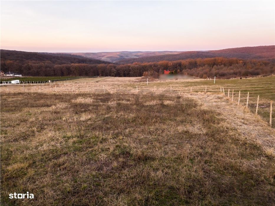 RECO Teren intravilan in Saldabagiu de Munte