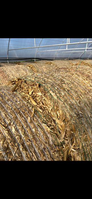 Baloti lucernă si de coceni(avem si transport contra cost motorina)