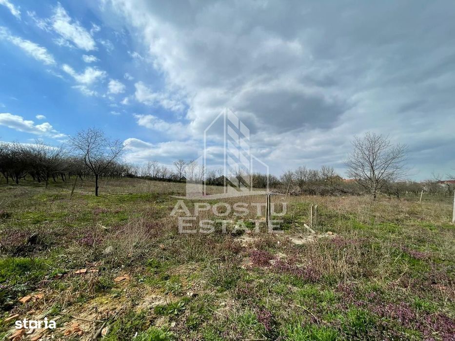 Teren intravilan pentru investitie, 2896 mp, Herneacova Timis