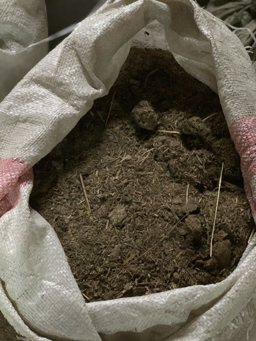 Навоз конский ЖЫЛҚЫНІКІ!!!