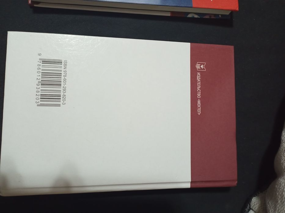 Литература 9 класс