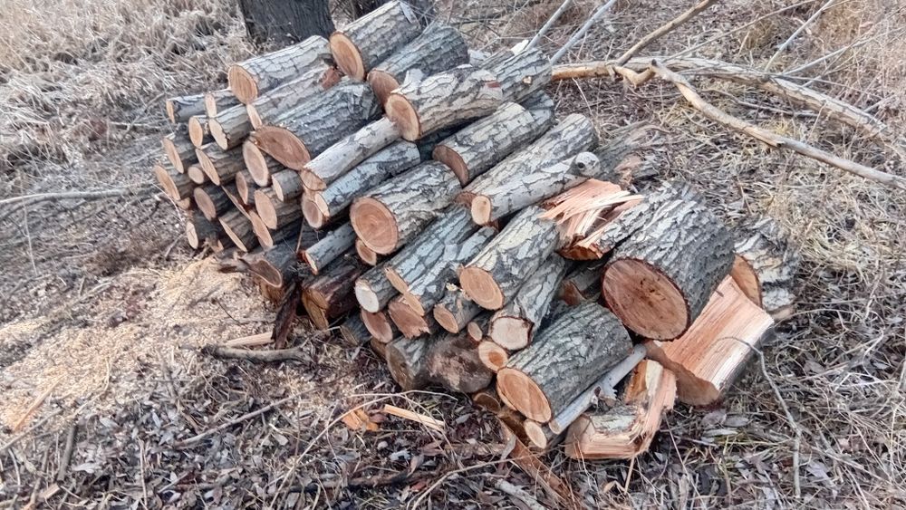 Дрова, верба,  карагач ,джигида.