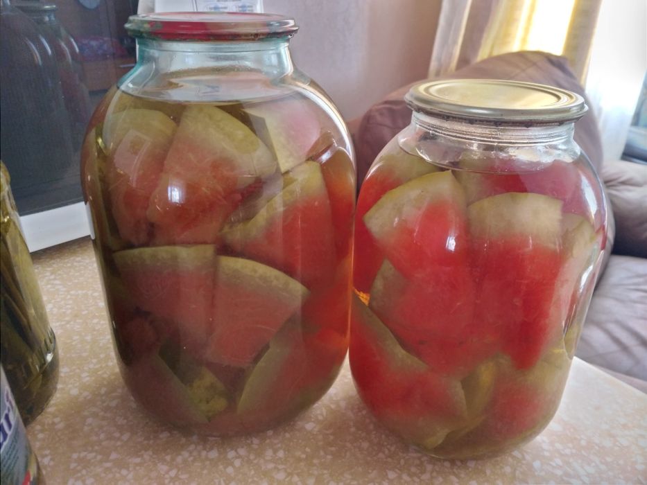 Солёные арбузы. Каргу.