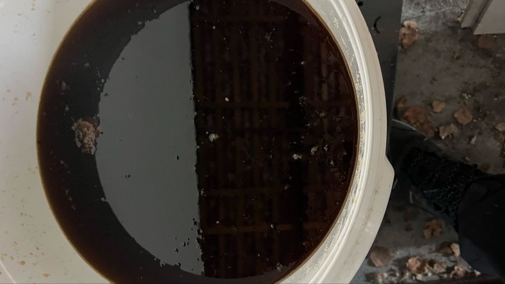 Miere de albine pentru fermentat