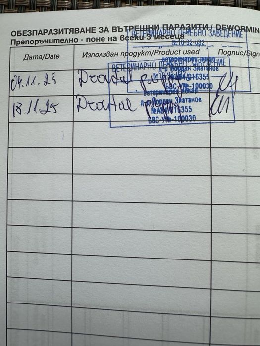 Френски Булдог French Bulldog Blue