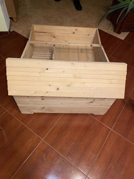 Cuscă broasca testoasa