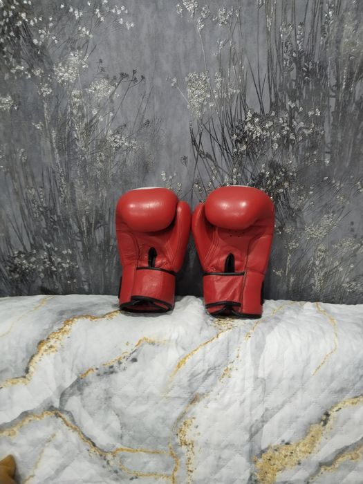 Груша + перчатки + лапы