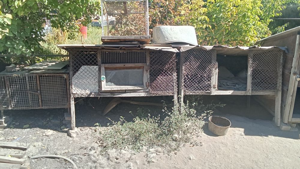 Продам клетки для кроликов