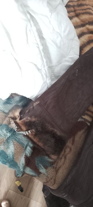 Шуба с размером 8xl