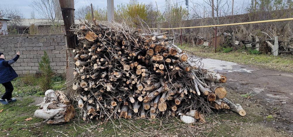 O'tin sotiladi terakniki