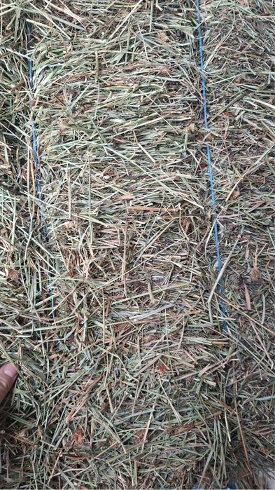 Vand baloti de fan si otava