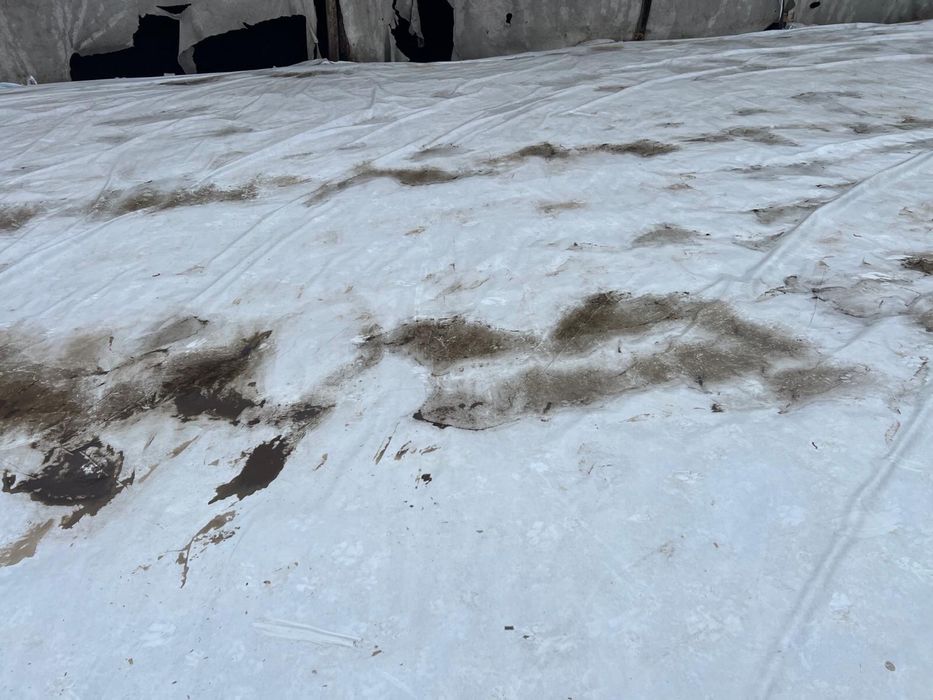 Vand siloz porumb 2025