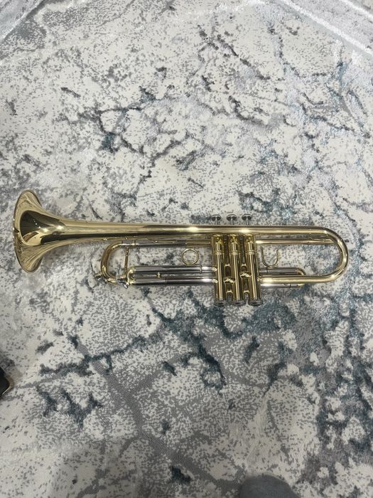 Труба музыкальная, Духовой инструмент