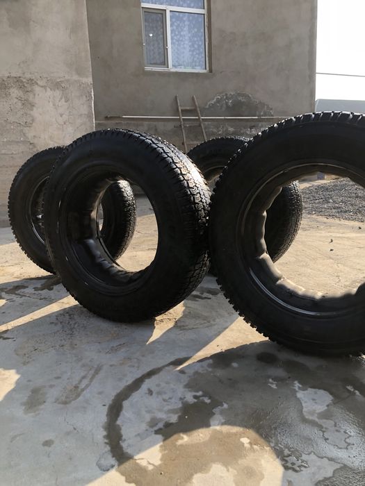 Нива шина шымкентте тур