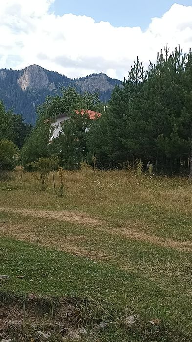 Продава се Парцел в к.к. Пампорово - 5500 кв.м за 29 €/кв.м - Снимка #7