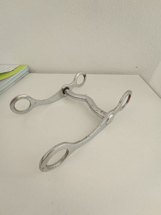 Strunea de vânzare, ea este făcută pentru ponei și poneițe neutilizată