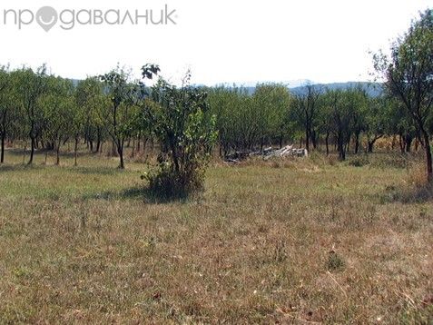 Продава се Парцел в с. Борима, Област Ловеч - 8900 кв.м за 8 €/кв.м - Снимка #4