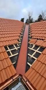 Meseriași profesioniști