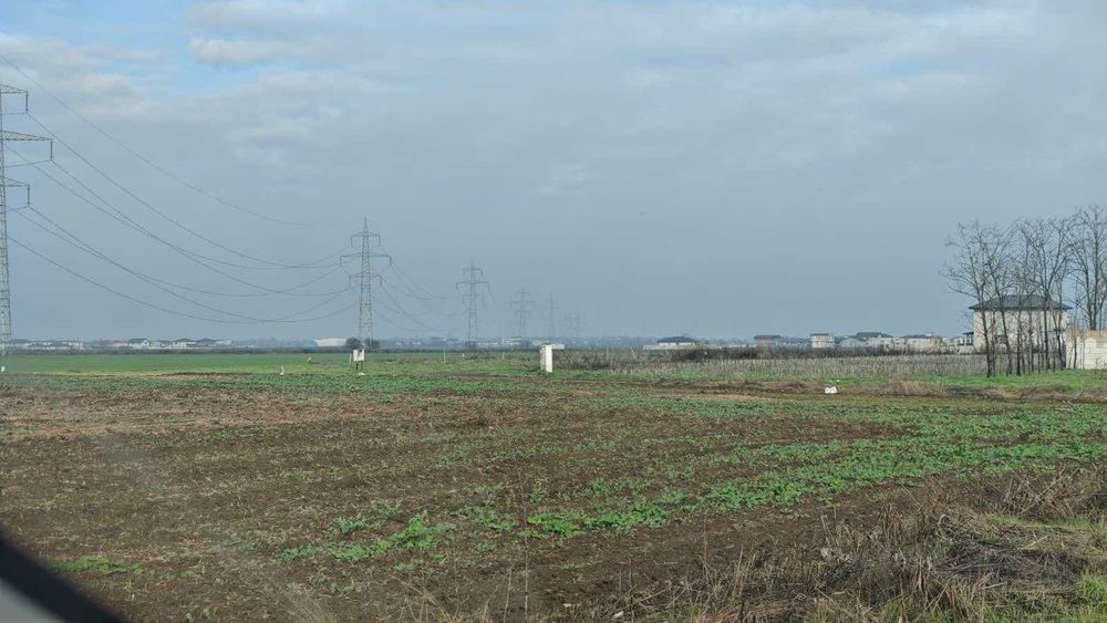 Teren extravilan 37000 mp -com Vidra / iesire Berceni, Ilfov