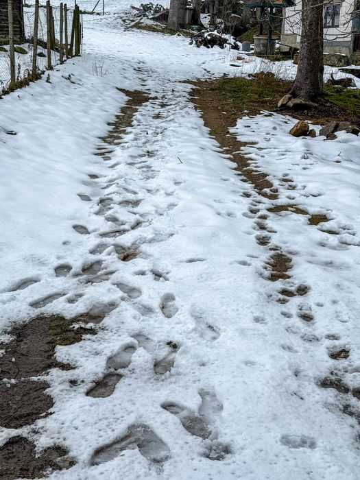 Teren intravilan 2300 mp Paltinis-Valea Stezii Sibiu