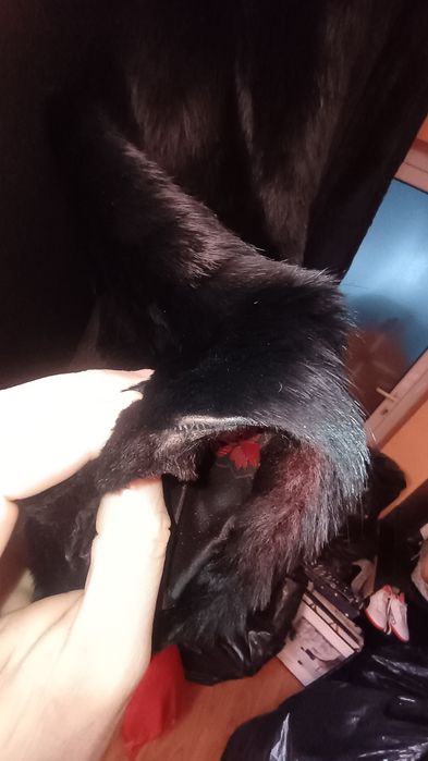 Blană naturală M-L