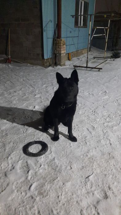 Кабель вео. Для вязки