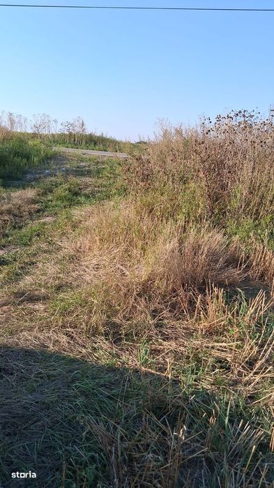 Teren extravilan zona izvoare 28500 mp