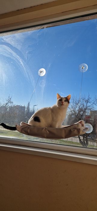 Легло-хамак за котки
