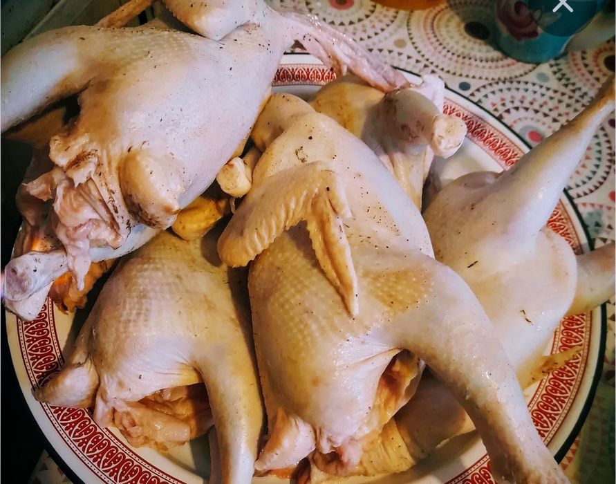 Тушки домашних кур