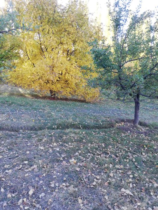 16 соттық жер сатылады