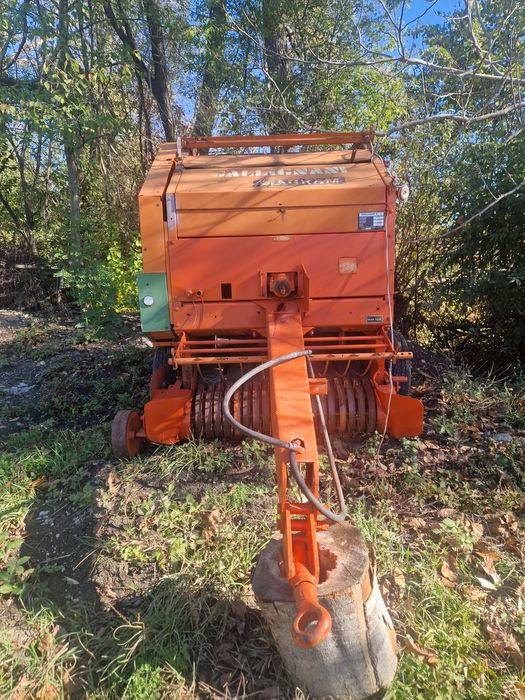 Vaci baltata românească