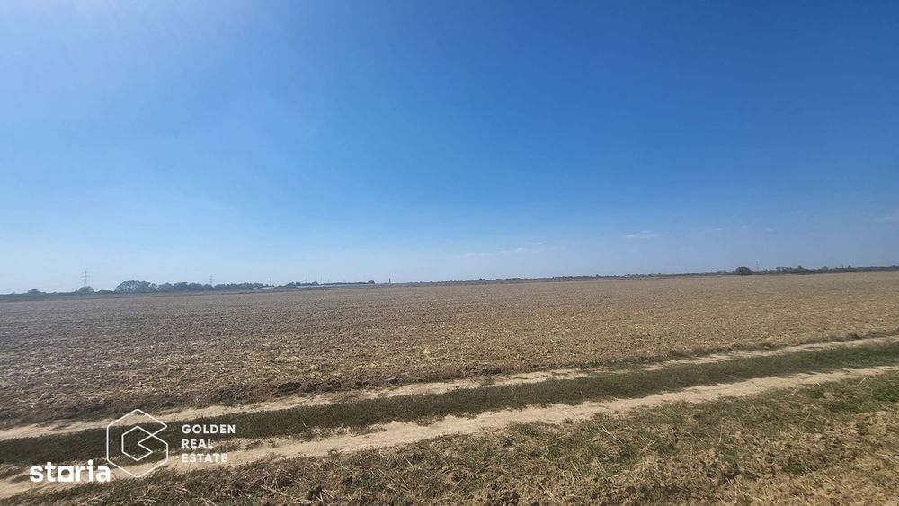 Mosnita Noua, 11600 mp teren OPORTUNITATE