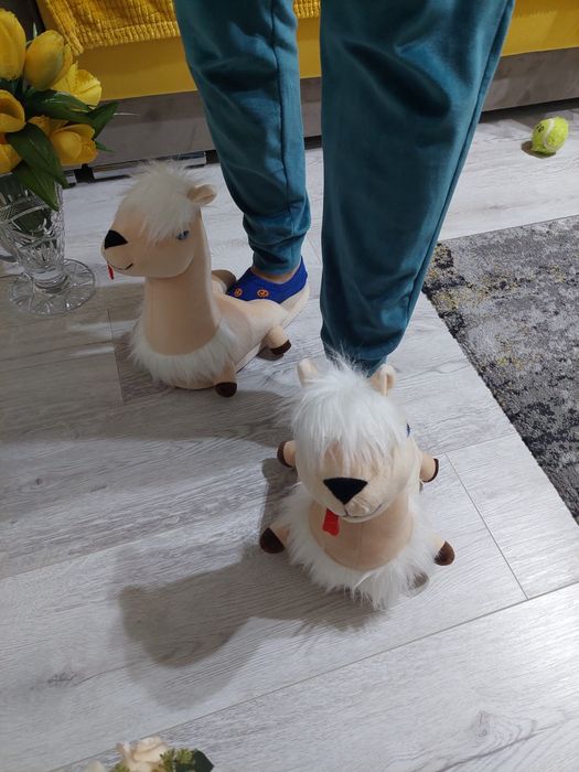 Papuci de casa, animalute, noi