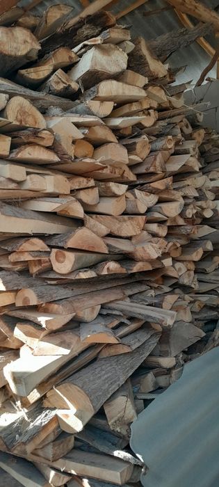 Otn quruq kota kota va  katolxam bor 200 kvadrat istedgon3 oy ishlagan