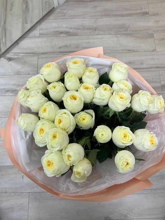 белые розы свежие