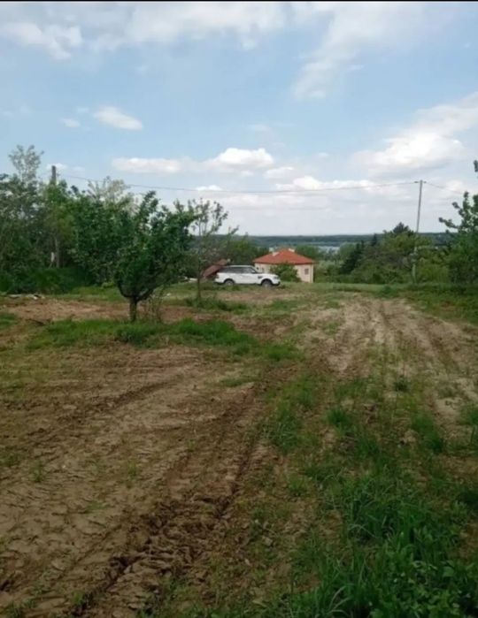 Имот в с.Флорентин( Видинско)